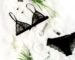 lingerie blog 2